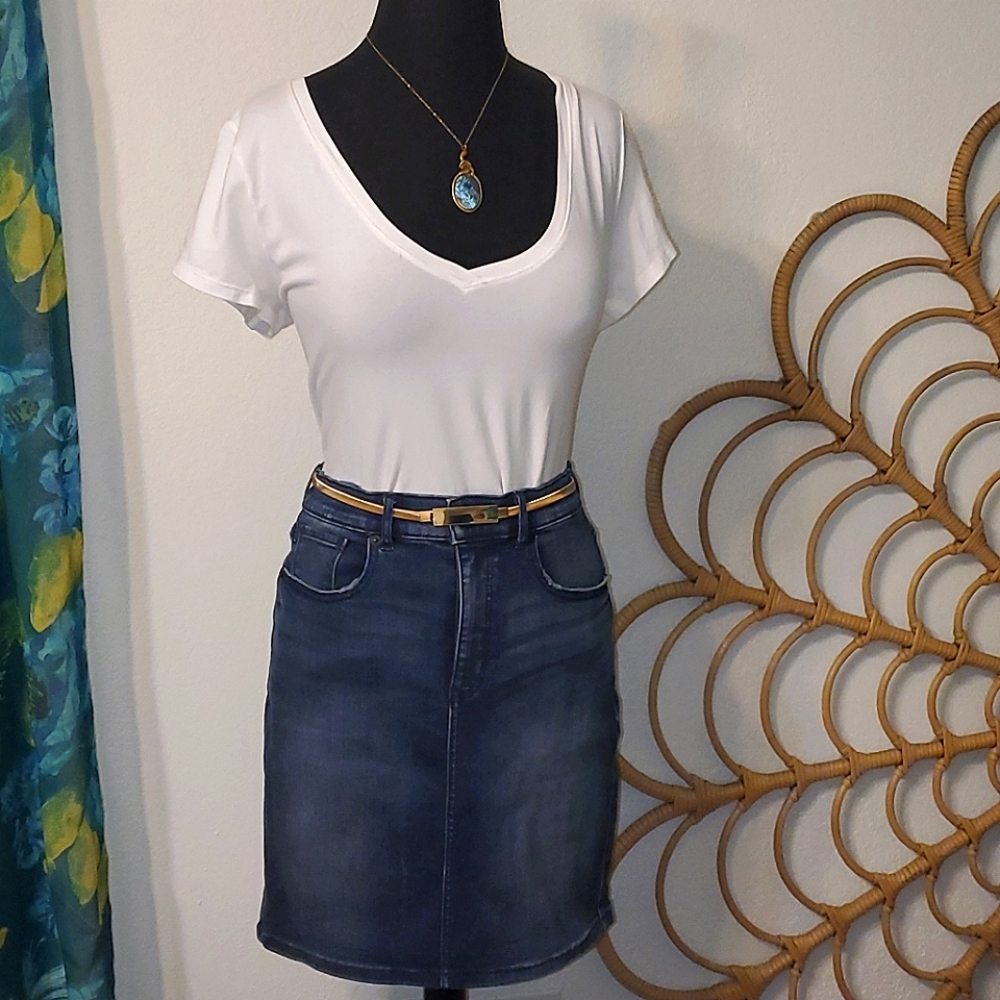 Denim Pencil Skirt by Express